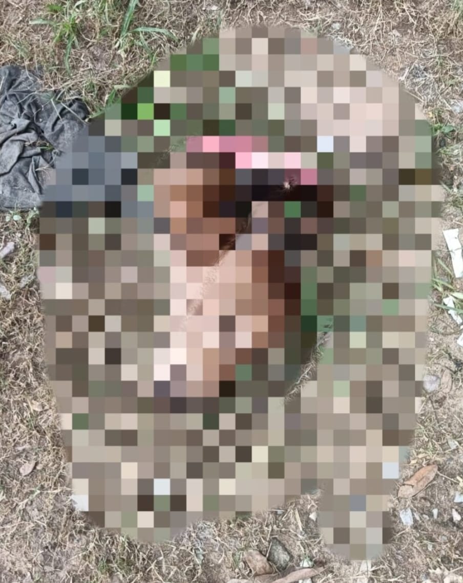 कोरबा में गाय के बछड़े का कटा हुआ सर और अन्य अंग मिलने से हड़कंप, गौ सेवकों में आक्रोश कोरबा में गाय के बछड़े का कटा हुआ सर और अन्य अंग मिलने से हड़कंप, गौ सेवकों में आक्रोश