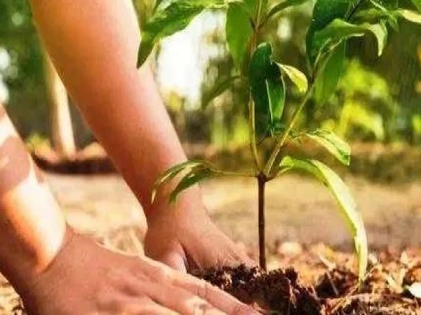प्रतीकात्मक फोटो प्रतीकात्मक फोटो