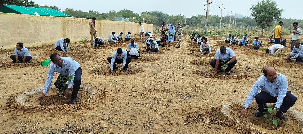 वृक्षारोपण महा अभियान – मिशन हरियालो राजस्थान के अंतर्गत एनएलसी इंडिया लिमिटेड द्वारा वृक्षारोपण वृक्षारोपण महा अभियान – मिशन हरियालो राजस्थान के अंतर्गत एनएलसी इंडिया लिमिटेड द्वारा वृक्षारोपण