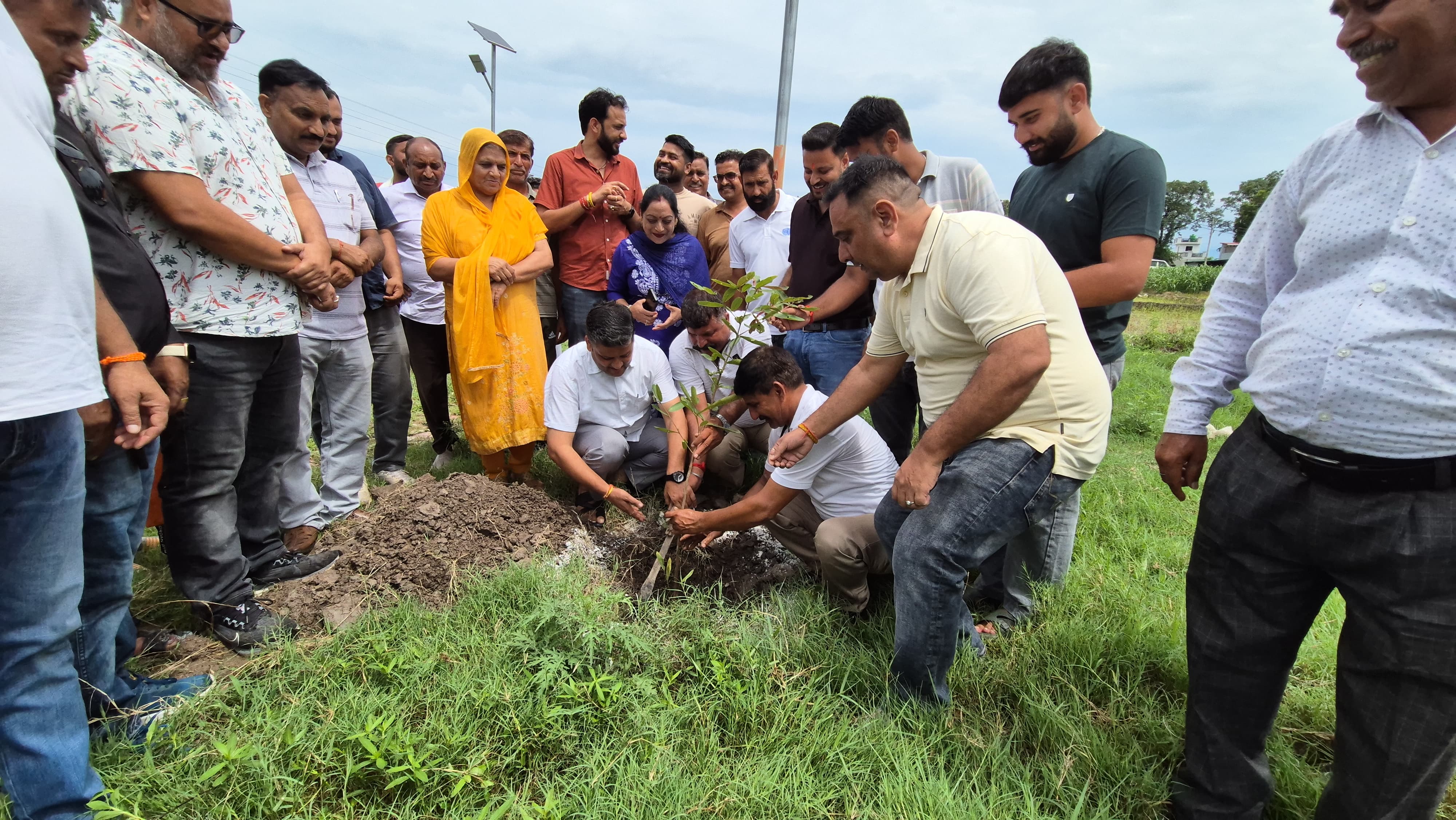विधायक सुरिंदर कुमार ने बारन देव स्थल पर किया पौधारोपण, जन भागीदारी पर दिया जोर