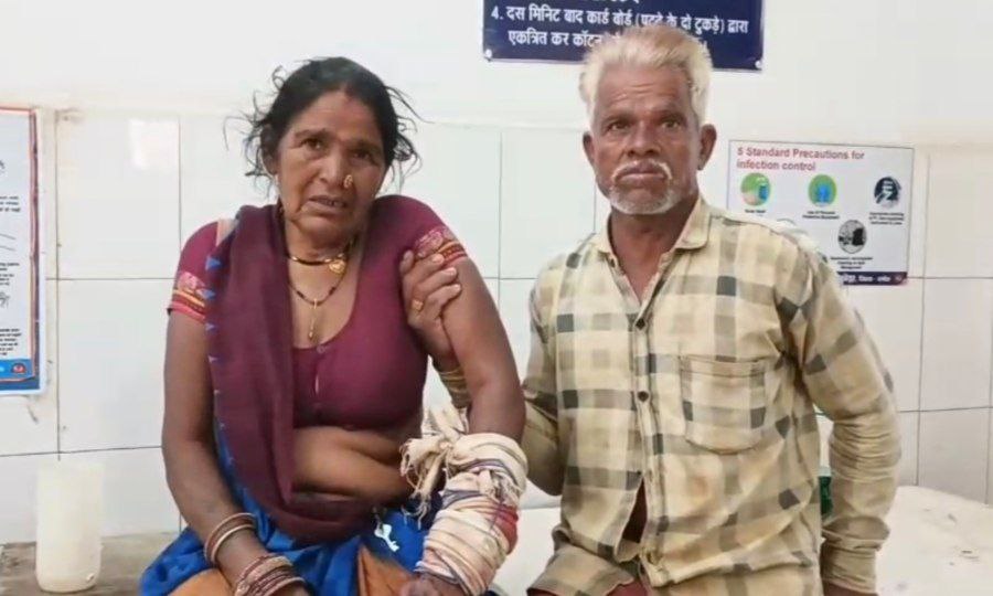 दमोह-मां को मगरमच्छ ने पकडा तो बेटा ने बचाया दमोह-मां को मगरमच्छ ने पकडा तो बेटा ने बचाया
