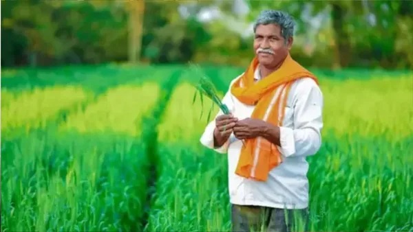 प्रतीकात्‍मक फोटो