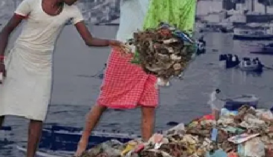 चोरी छिपे कूड़ा फेंकने चोरी छिपे कूड़ा फेंकने