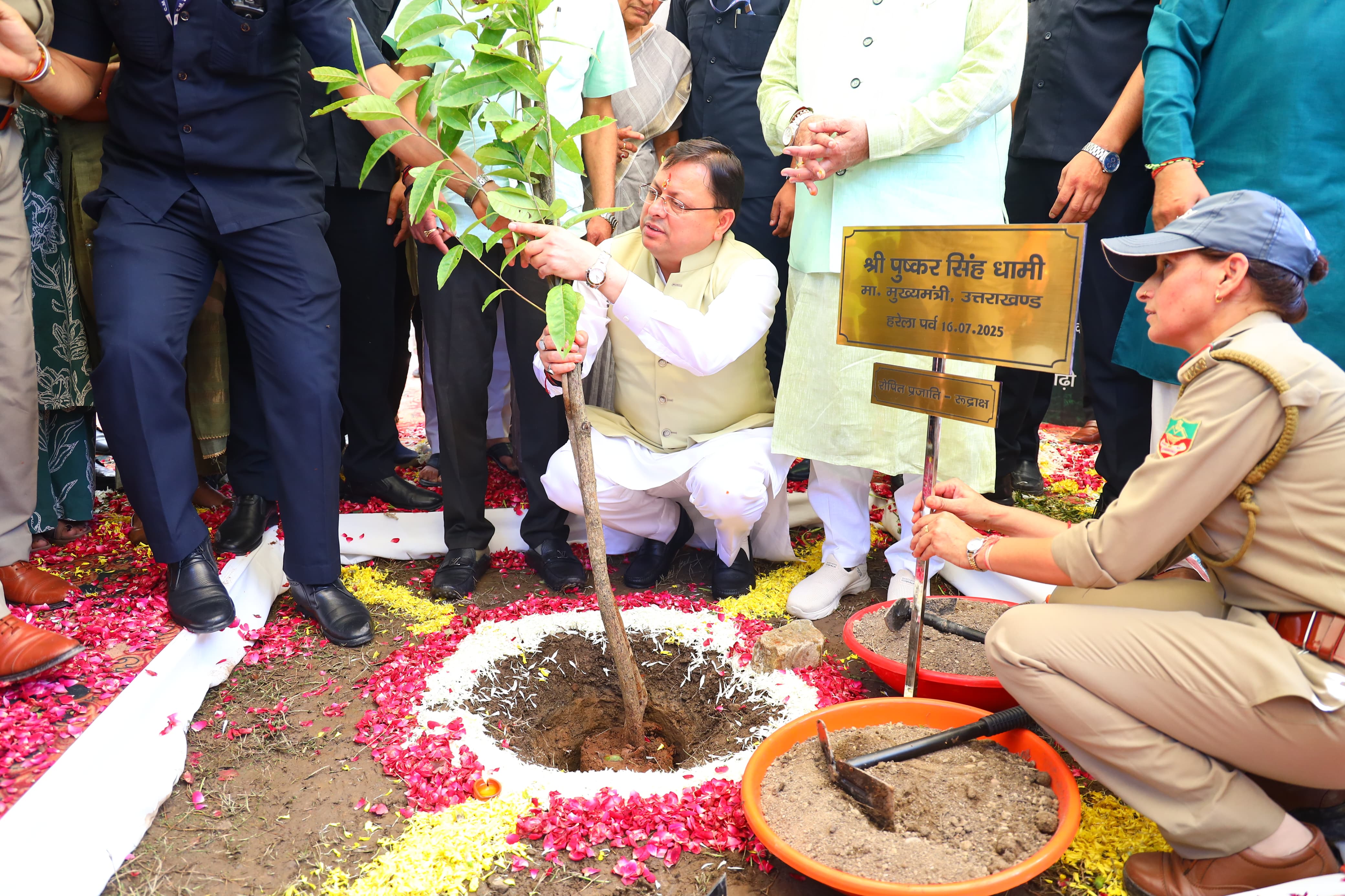 हरेला के अवसर पर पौधरोपण करते मुख्यमंत्री धामी। हरेला के अवसर पर पौधरोपण करते मुख्यमंत्री धामी।