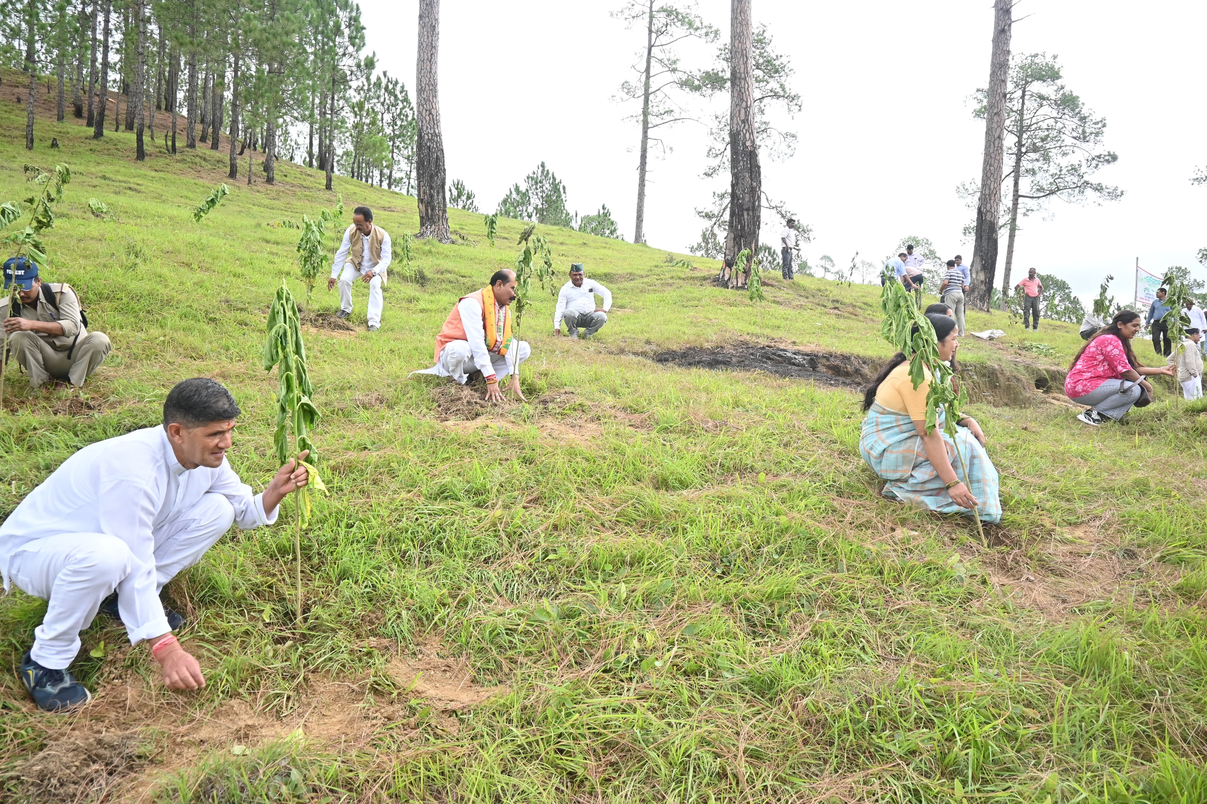 हरेला पर्व पर पौधरोपण करते लोग।