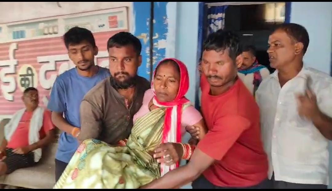 घायल महिला को उपचार के लिए ले जाते हुए स्वजन। घायल महिला को उपचार के लिए ले जाते हुए स्वजन।