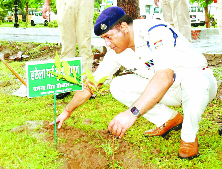 पौधारोपण करते हुए