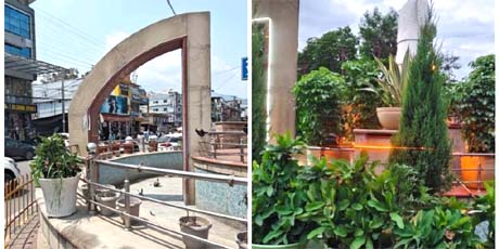 हरेला पर्व पर नगर आयुक्त के प्रयासों से तिकोनिया चैराहे पर बना शहर का पहला वर्टिकल गार्डन