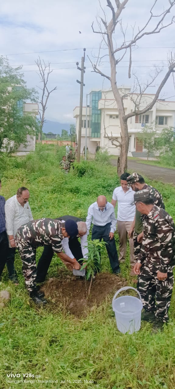 पौधरोपण करते एसएसबी के अधिकारी व जवान। पौधरोपण करते एसएसबी के अधिकारी व जवान।
