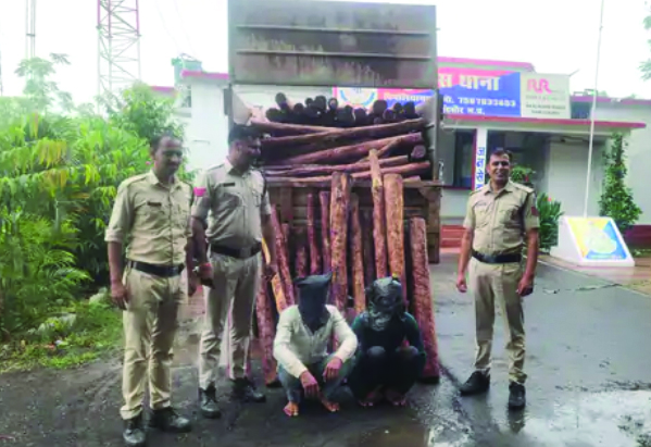 मंदसौर  पुलिस ने पकड़ा लाल चंदन, दो आरोपी गिरफ्तार