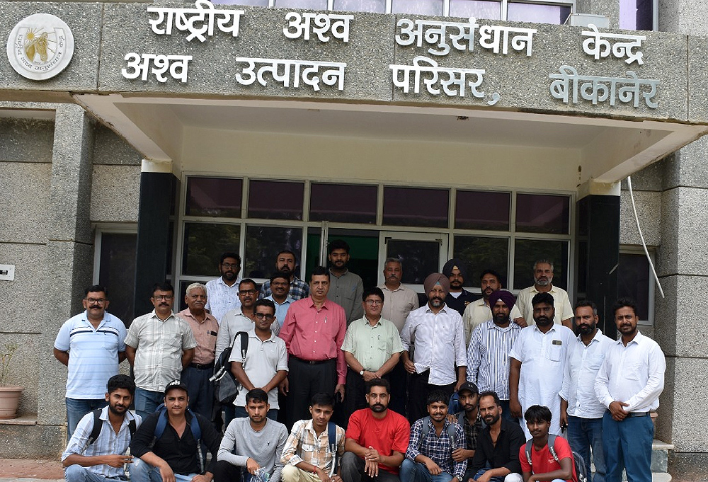 स्वदेशी अश्व -स्पर्धाओं काे बढ़ावा दें : डॉ एस सी मेहता