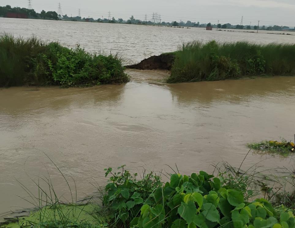 जमालपुर के भोंकानाला का टूटा तटबंध।