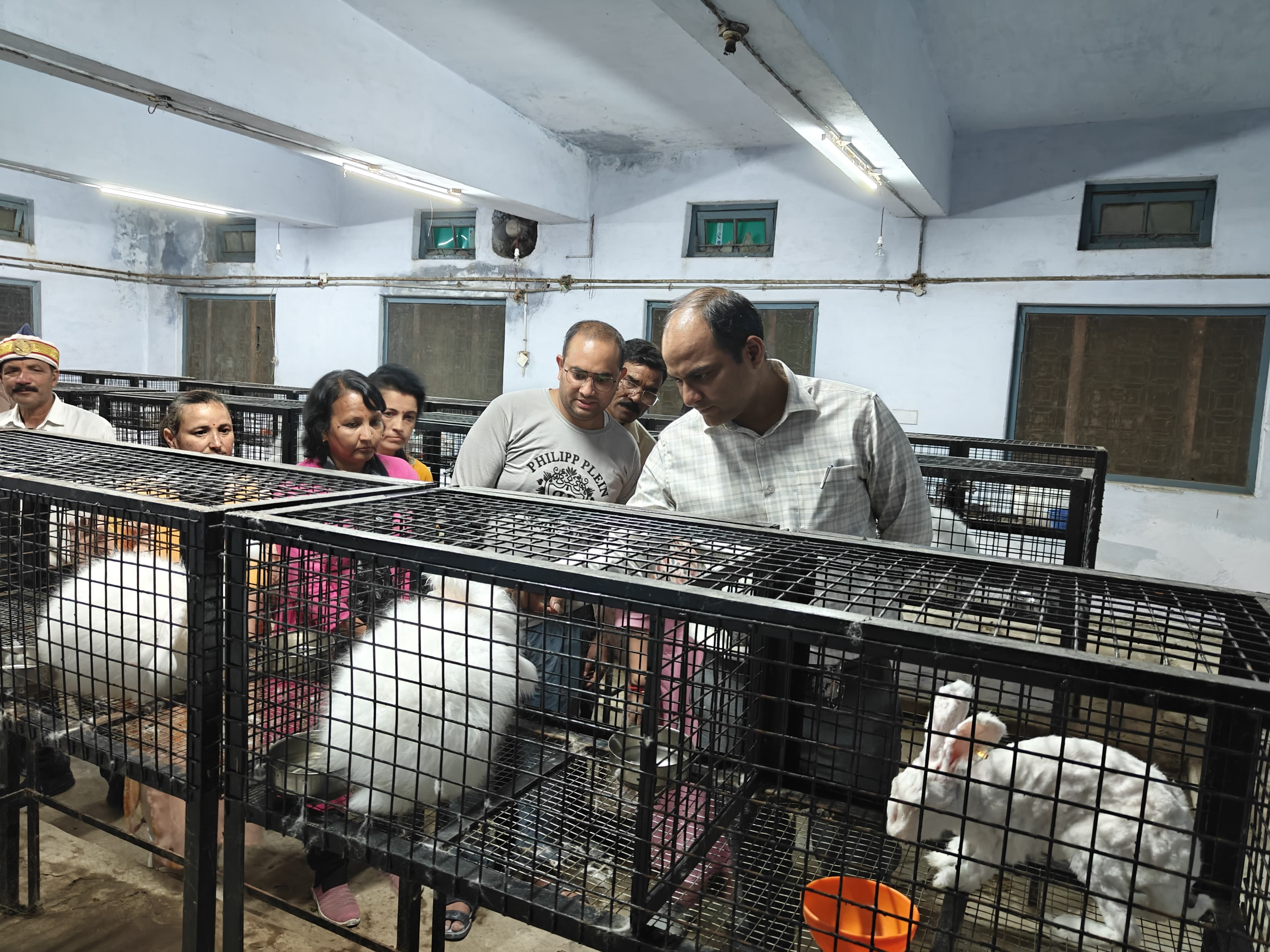 अंगोरा सशक प्रजनन केंद्र का निरीक्षण करते जिला अधिकारी अंगोरा सशक प्रजनन केंद्र का निरीक्षण करते जिला अधिकारी