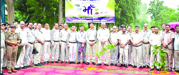 पौधारोपण के दौरान पौधारोपण के दौरान