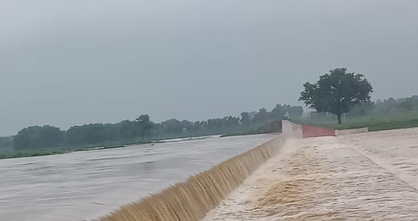 दो दिन तक बबूल के पेड़ पर भूखा बैठा रहा चरवाहा