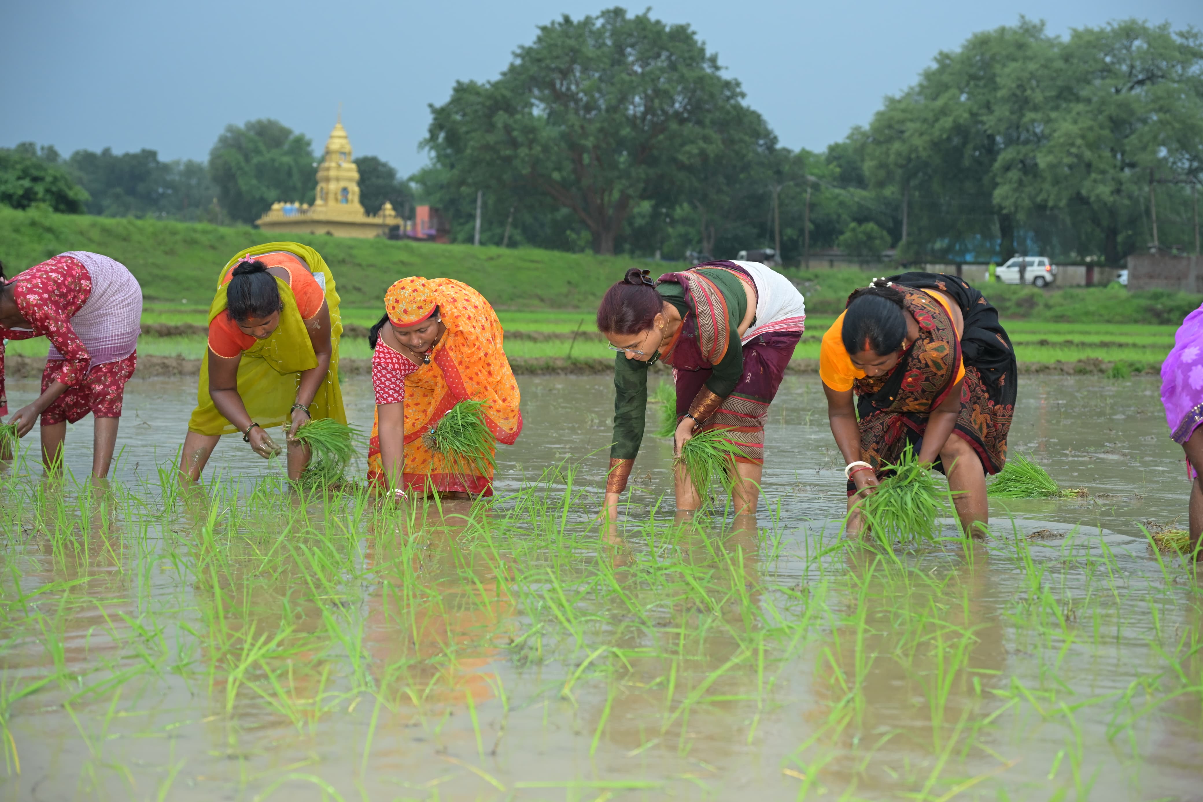 धन रोपने मंत्री शिल्पी तिर्की
