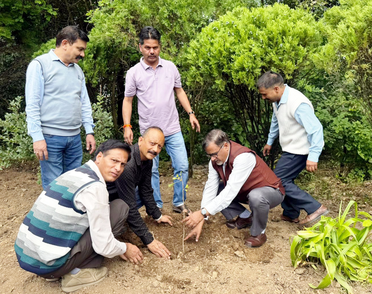 कुमाऊँ विश्वविद्यालय में जिंगो बाइलोबा का पौधा रोपते कुलपति।