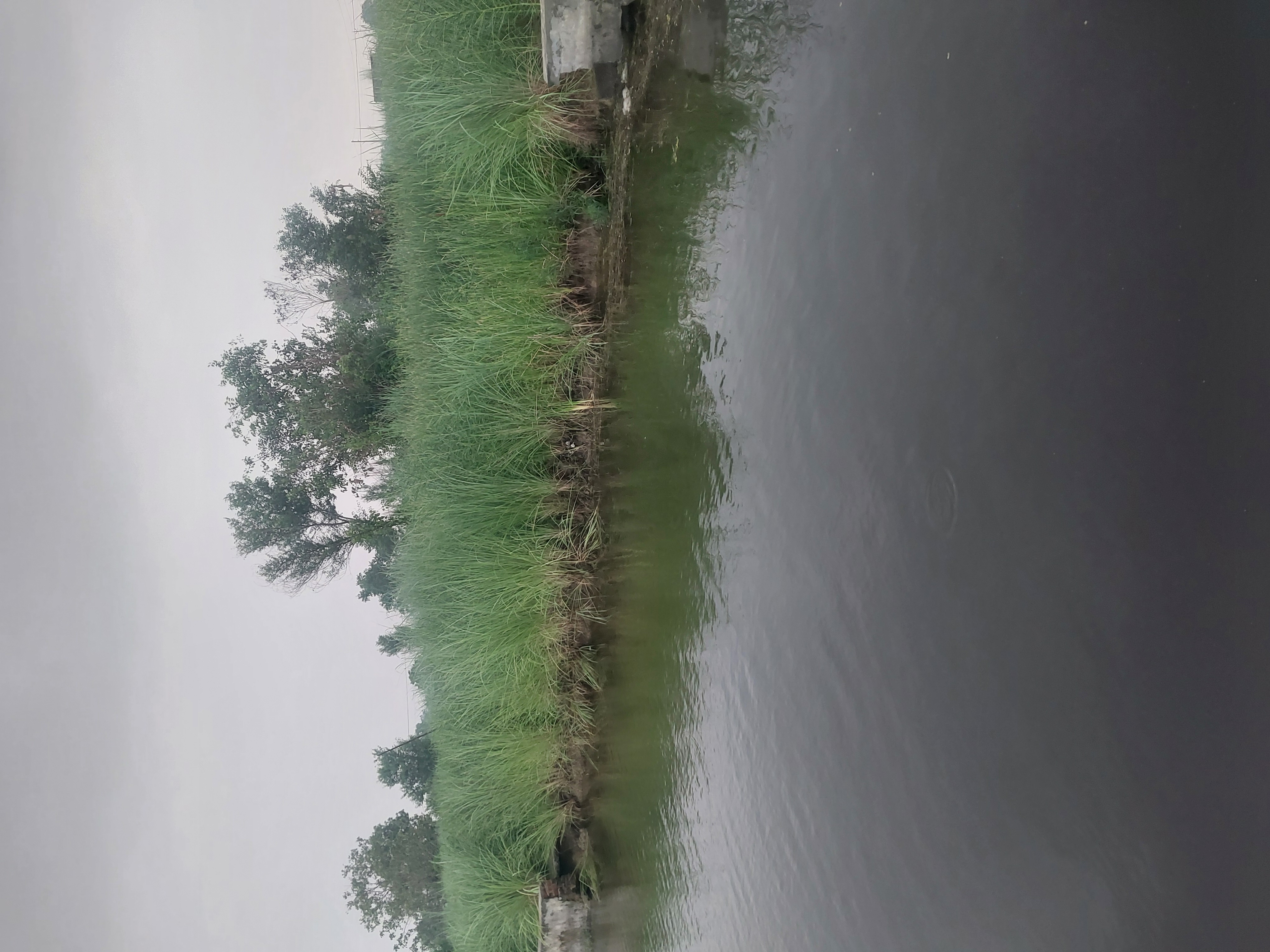 जल भराव की वजह से किसान नहीं कर पाए फसल की बिजाई। जल भराव की वजह से किसान नहीं कर पाए फसल की बिजाई।