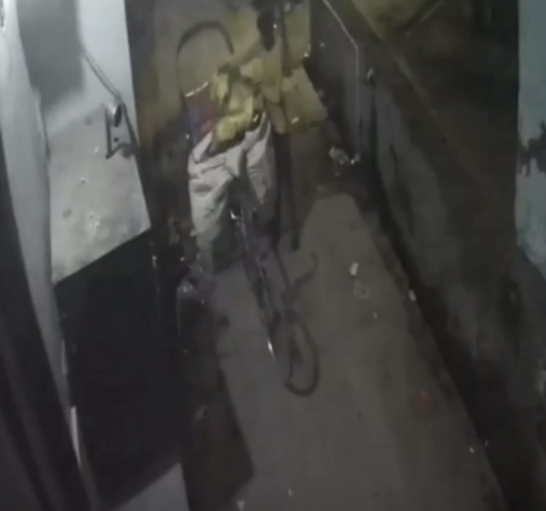 बरेली के बड़ी बमनपुरी मोहल्ले में मंदिर से अष्टधातु की राधा-कृष्ण प्रतिमा चुराकर रिक्शे से ले जाता चोर, CCTV फुटेज में कैद हुई वारदात। बरेली के बड़ी बमनपुरी मोहल्ले में मंदिर से अष्टधातु की राधा-कृष्ण प्रतिमा चुराकर रिक्शे से ले जाता चोर, CCTV फुटेज में कैद हुई वारदात।