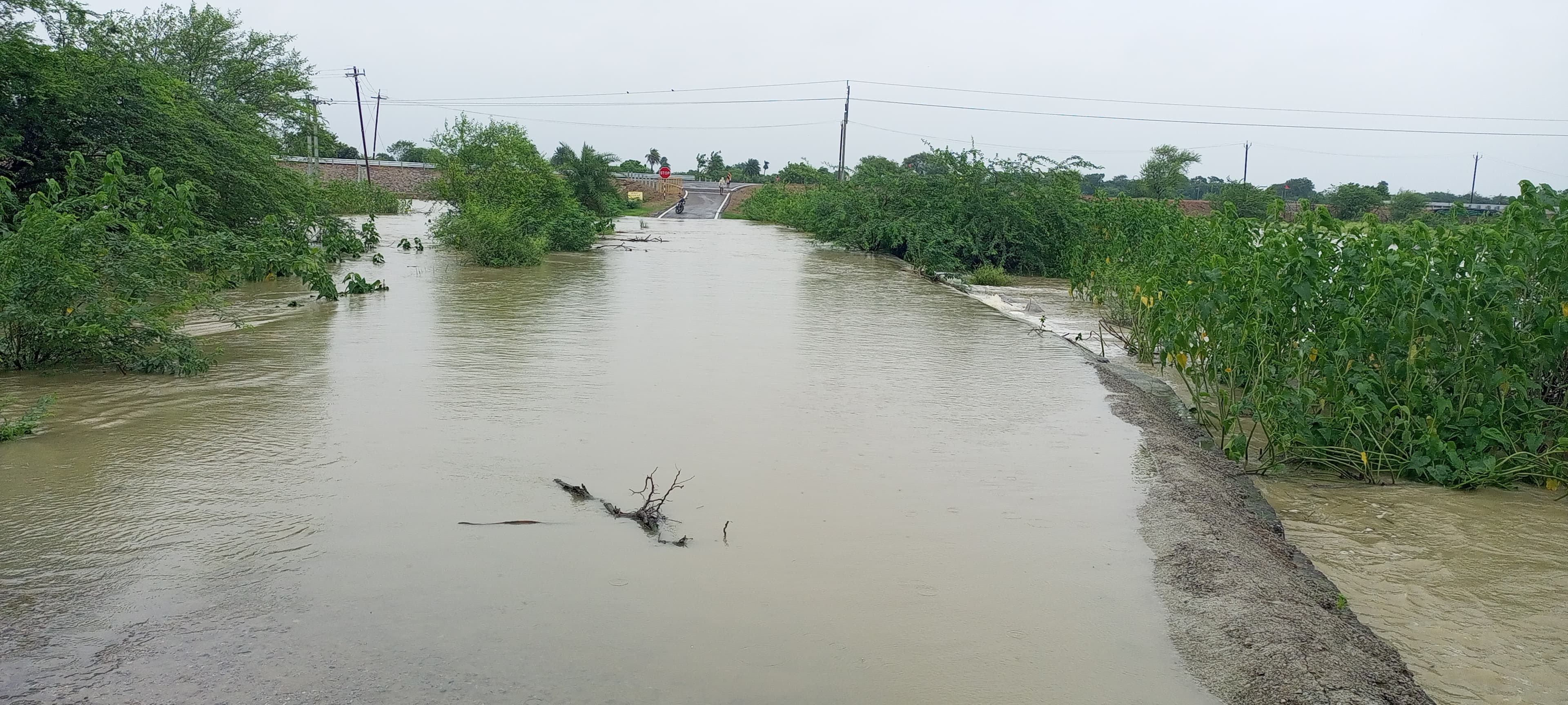 मूसलाधार बारिश से नगर हुआ जलमग्न, जगह -जगह जल भराव मूसलाधार बारिश से नगर हुआ जलमग्न, जगह -जगह जल भराव