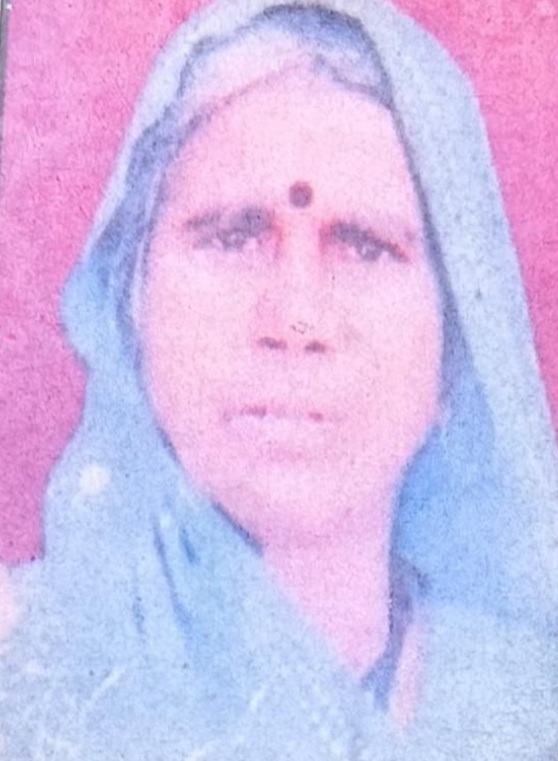 मृतका का फाइल फोटो मृतका का फाइल फोटो