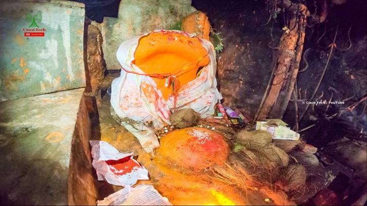 लोककथा और इतिहास के जीवंत संगम पद्मशेष नागद्वारी गुफा लोककथा और इतिहास के जीवंत संगम पद्मशेष नागद्वारी गुफा