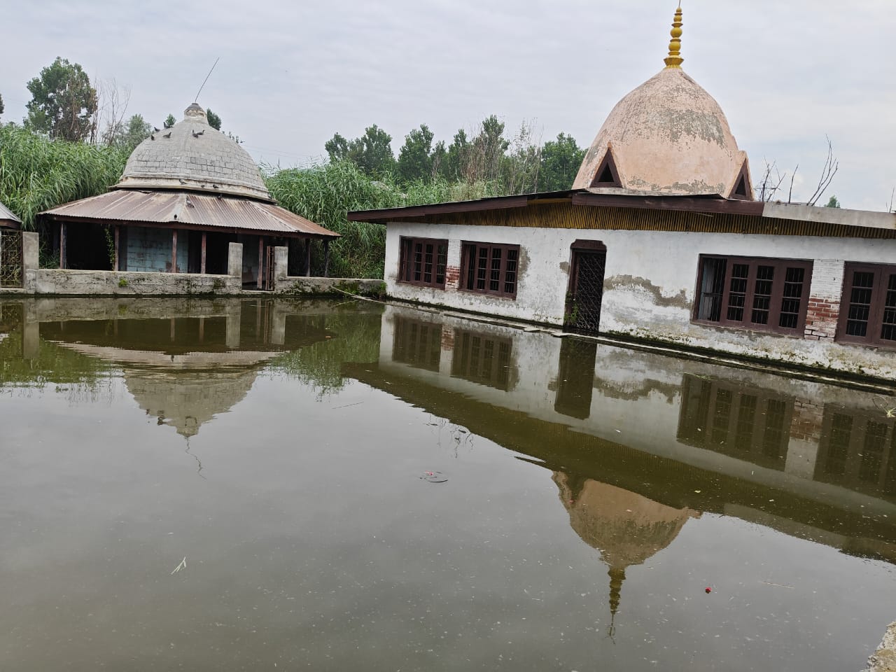 विचारनाग मंदिर के जीर्णोद्धार कार्य की शुरुआत का किया स्वागत विचारनाग मंदिर के जीर्णोद्धार कार्य की शुरुआत का किया स्वागत