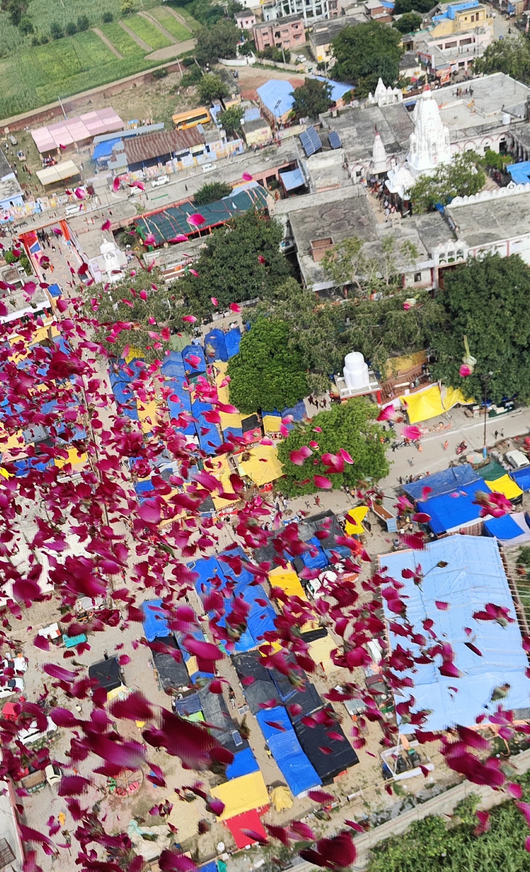 पुरामहादेव मंदिर पर पुष्प वर्षा