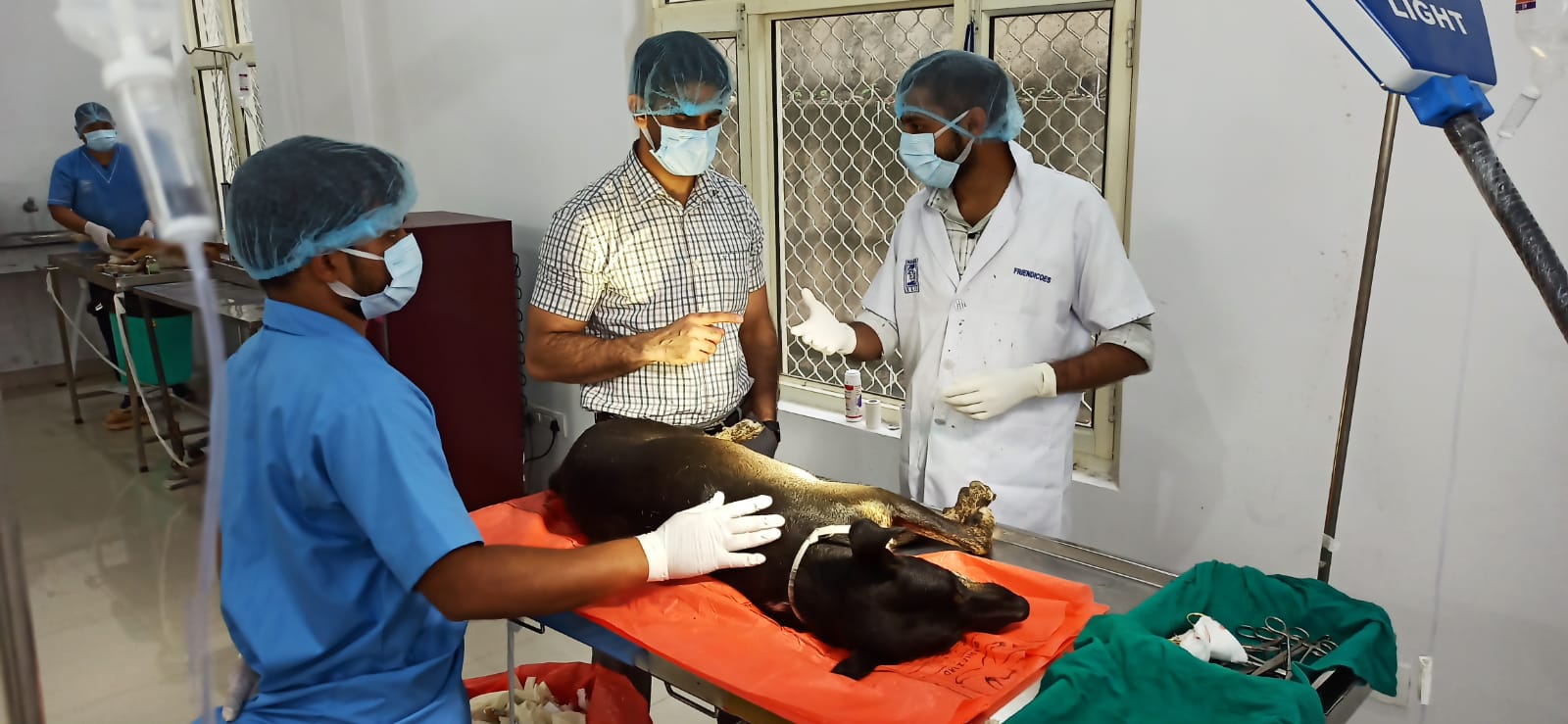 जेएमसी ने आवारा कुत्तों की आबादी नियंत्रित करने के प्रयास किए तेज़ जेएमसी ने आवारा कुत्तों की आबादी नियंत्रित करने के प्रयास किए तेज़