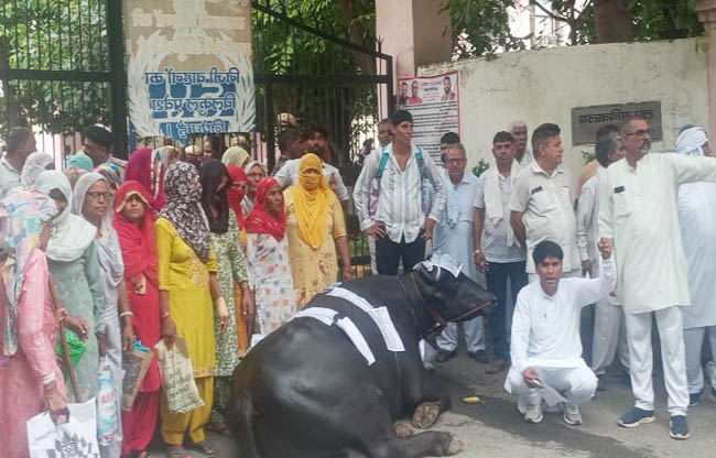सोनीपत: गांव गढ़ी बाला के ग्रामीण बीपीएल परिवार प्रदर्शन करते हुए सोनीपत: गांव गढ़ी बाला के ग्रामीण बीपीएल परिवार प्रदर्शन करते हुए