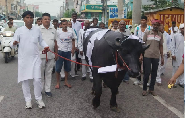 सोनीपत: गांव गढ़ी बाला के ग्रामीण बीपीएल परिवार प्रदर्शन करते हुए सोनीपत: गांव गढ़ी बाला के ग्रामीण बीपीएल परिवार प्रदर्शन करते हुए
