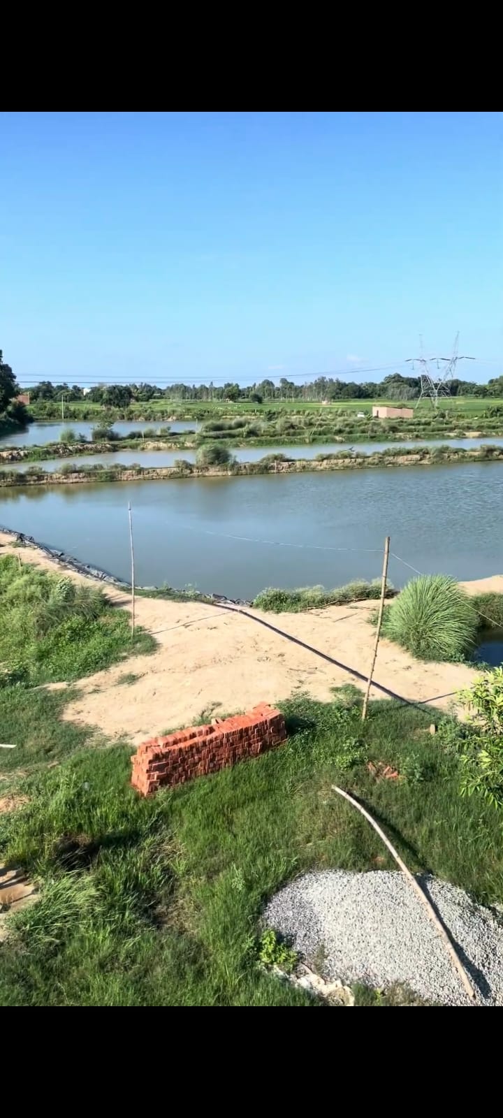 वाराणसी के पिंडरा विकासखंड के चुप्पेपुर पोस्ट के पिंडराई ग्राम निवासी विक्रांत पाठक के तालाब बना फिश फॉर्मिंग वाराणसी के पिंडरा विकासखंड के चुप्पेपुर पोस्ट के पिंडराई ग्राम निवासी विक्रांत पाठक के तालाब बना फिश फॉर्मिंग