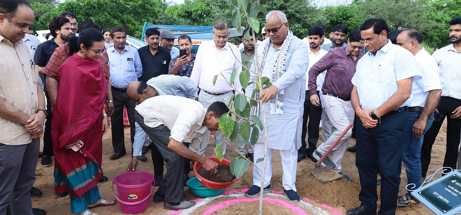 शिक्षा विभाग ने अब तक लगाए 2 करोड़ 78 लाख से अधिक पौधे, 22 लाख से अधिक पौधों की हुई जीओ टैगिंग शिक्षा विभाग ने अब तक लगाए 2 करोड़ 78 लाख से अधिक पौधे, 22 लाख से अधिक पौधों की हुई जीओ टैगिंग