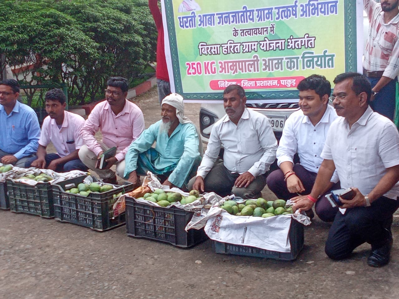 प्रदर्शनी में लगी आम प्रदर्शनी में लगी आम