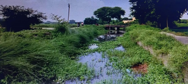 फाइल फोटो