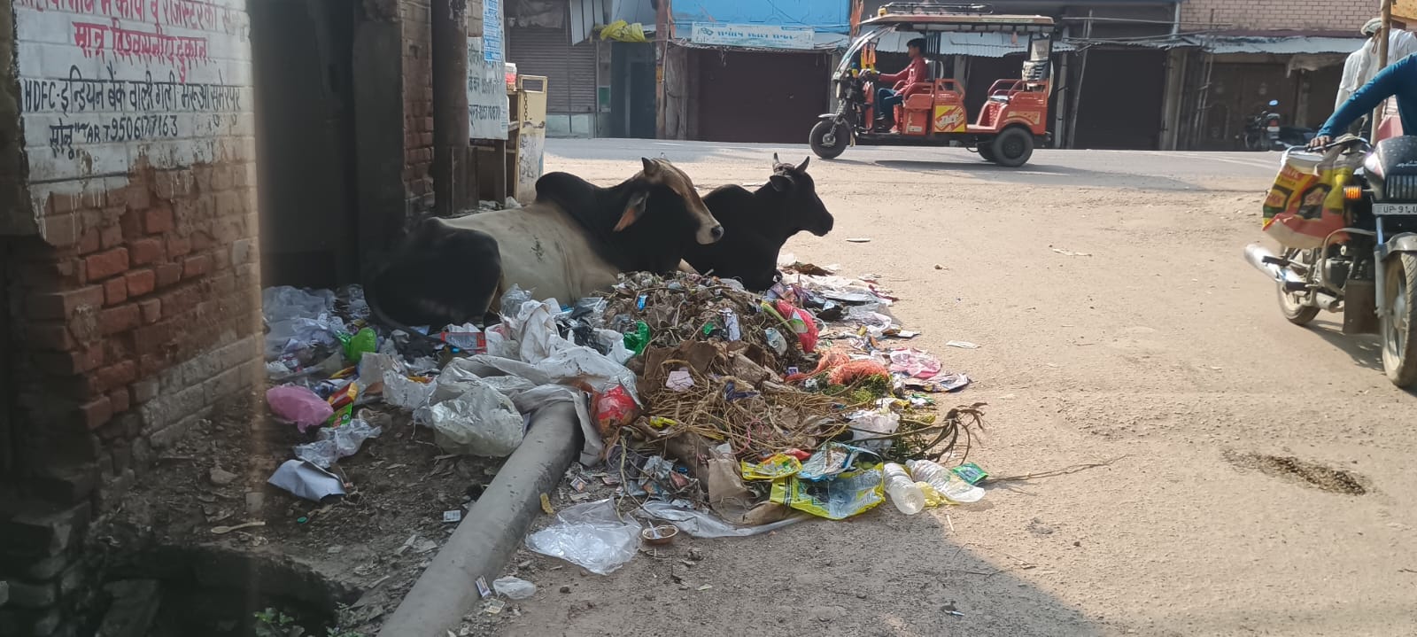 सफाई पर हर माह 20 लाख रुपये खर्च