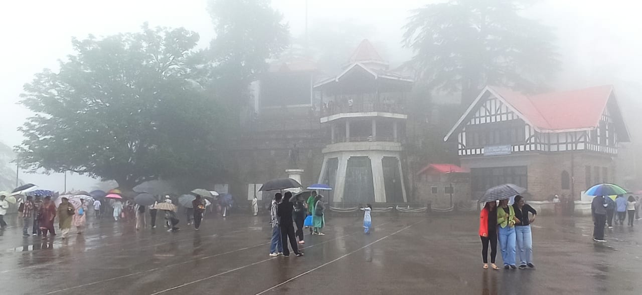 शिमला में वर्षा शिमला में वर्षा