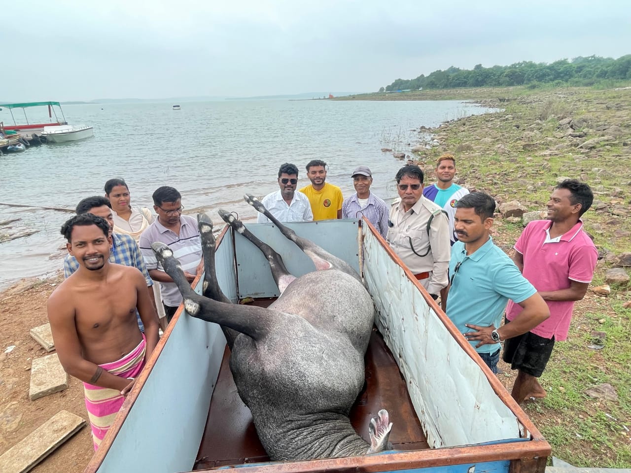 गंगरेल बांध किनारे नील गाय का मिला शव गंगरेल बांध किनारे नील गाय का मिला शव
