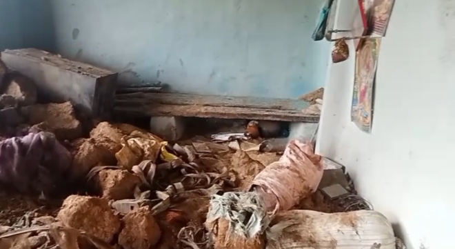 मैनपाट वनपरिक्षेत्र में हाथियों का आतंक मैनपाट वनपरिक्षेत्र में हाथियों का आतंक