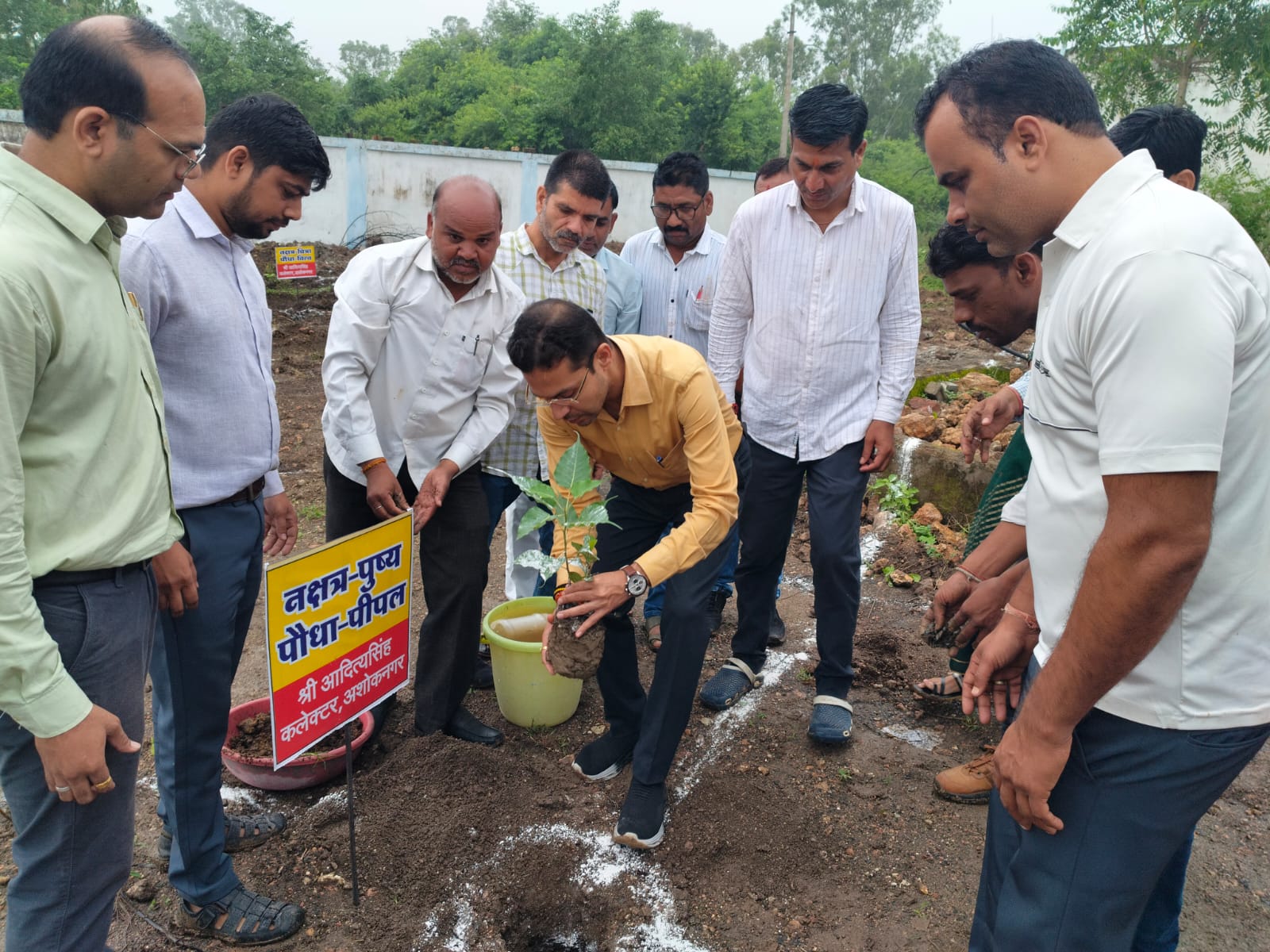 अशोकनगर: पहली ऐसी वाटिका जो नक्षत्र, ग्रह एवं राशि आधारित पौधों से हुई तैयार