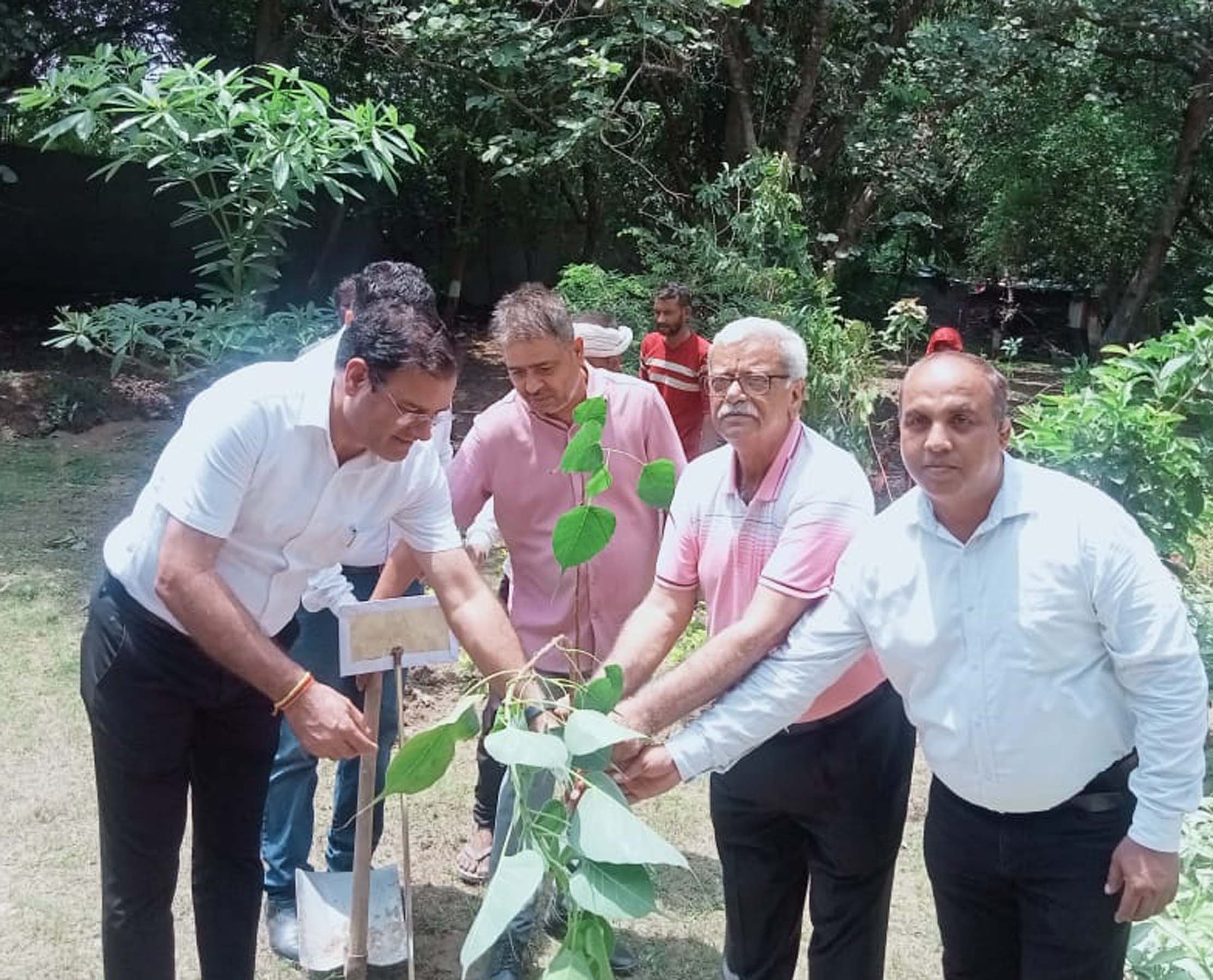 गुरुग्राम के सिटीजन पार्क में पौधारोपण करते निगम अधिकारी। गुरुग्राम के सिटीजन पार्क में पौधारोपण करते निगम अधिकारी।