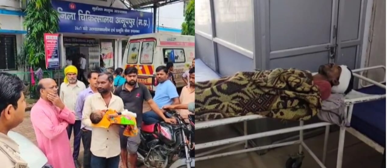 हाथी देखने छत पर चढ़े व्यंक्ति का शव 3 माह का बच्चे का पैर टूटा हाथी देखने छत पर चढ़े व्यंक्ति का शव 3 माह का बच्चे का पैर टूटा