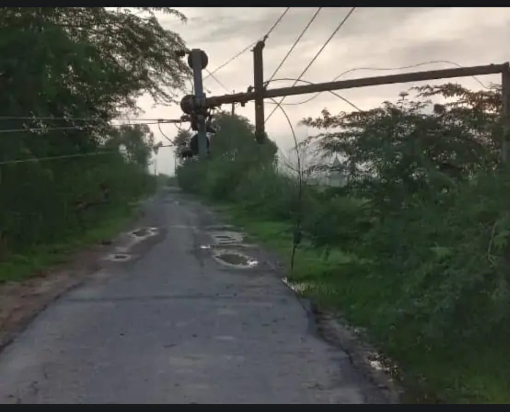 फोटो फोटो