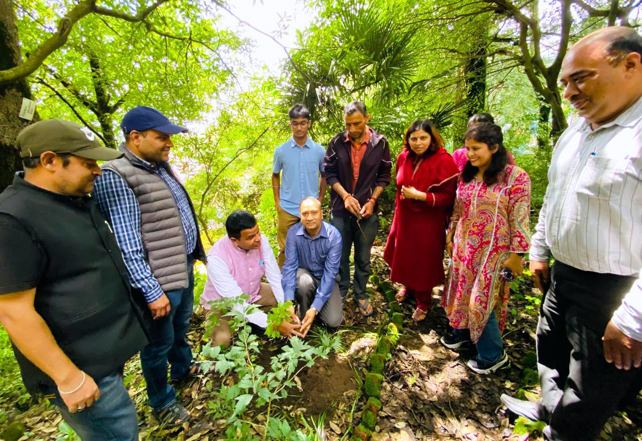 डीएसबी परिसर में पौधरोपण करते प्राध्यापक। डीएसबी परिसर में पौधरोपण करते प्राध्यापक।