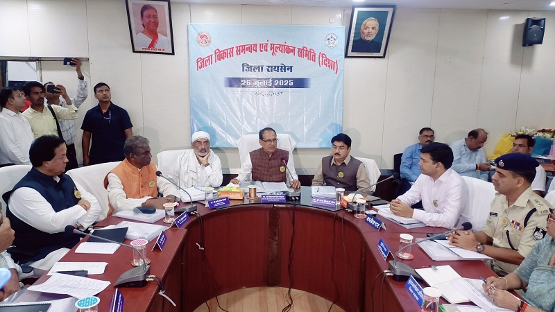 जिला विकास समन्वय और निगरानी समिति (दिशा) की बैठक जिला विकास समन्वय और निगरानी समिति (दिशा) की बैठक