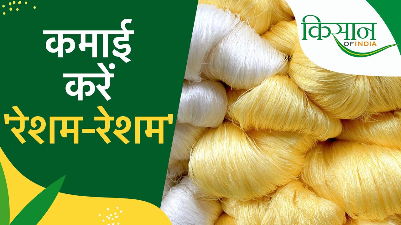 प्रतीकात्मक फोटो प्रतीकात्मक फोटो