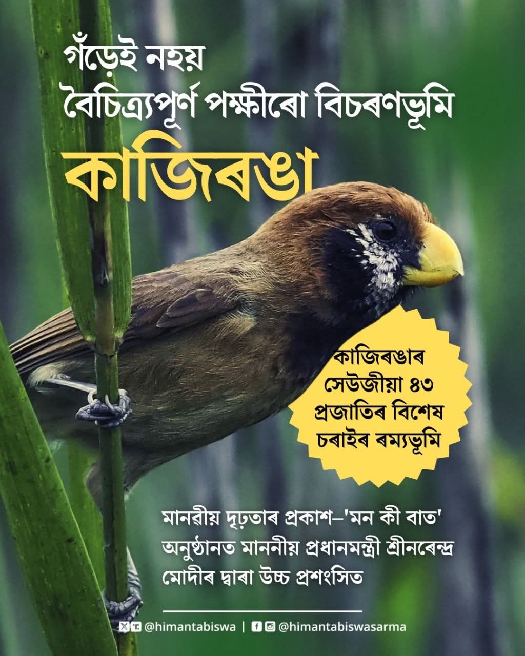मुख्यमंत्री डॉ हिमंत बिस्व सरमा द्वारा साझा तस्वीर। मुख्यमंत्री डॉ हिमंत बिस्व सरमा द्वारा साझा तस्वीर।