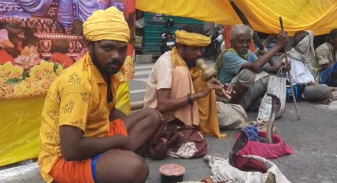बीन बजाते सपेरे बीन बजाते सपेरे