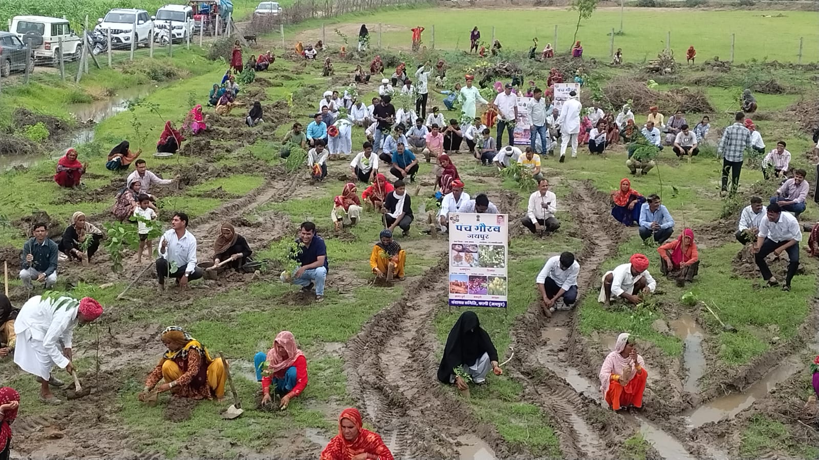 हरियाली तीज पर जयपुर जिला प्रशासन ने किया पौधारोपण का रिकॉर्ड