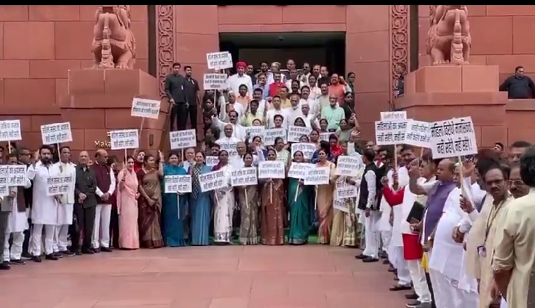 संसद के बाहर धरना प्रदर्शन करते हुए एनडीए के सासंद संसद के बाहर धरना प्रदर्शन करते हुए एनडीए के सासंद